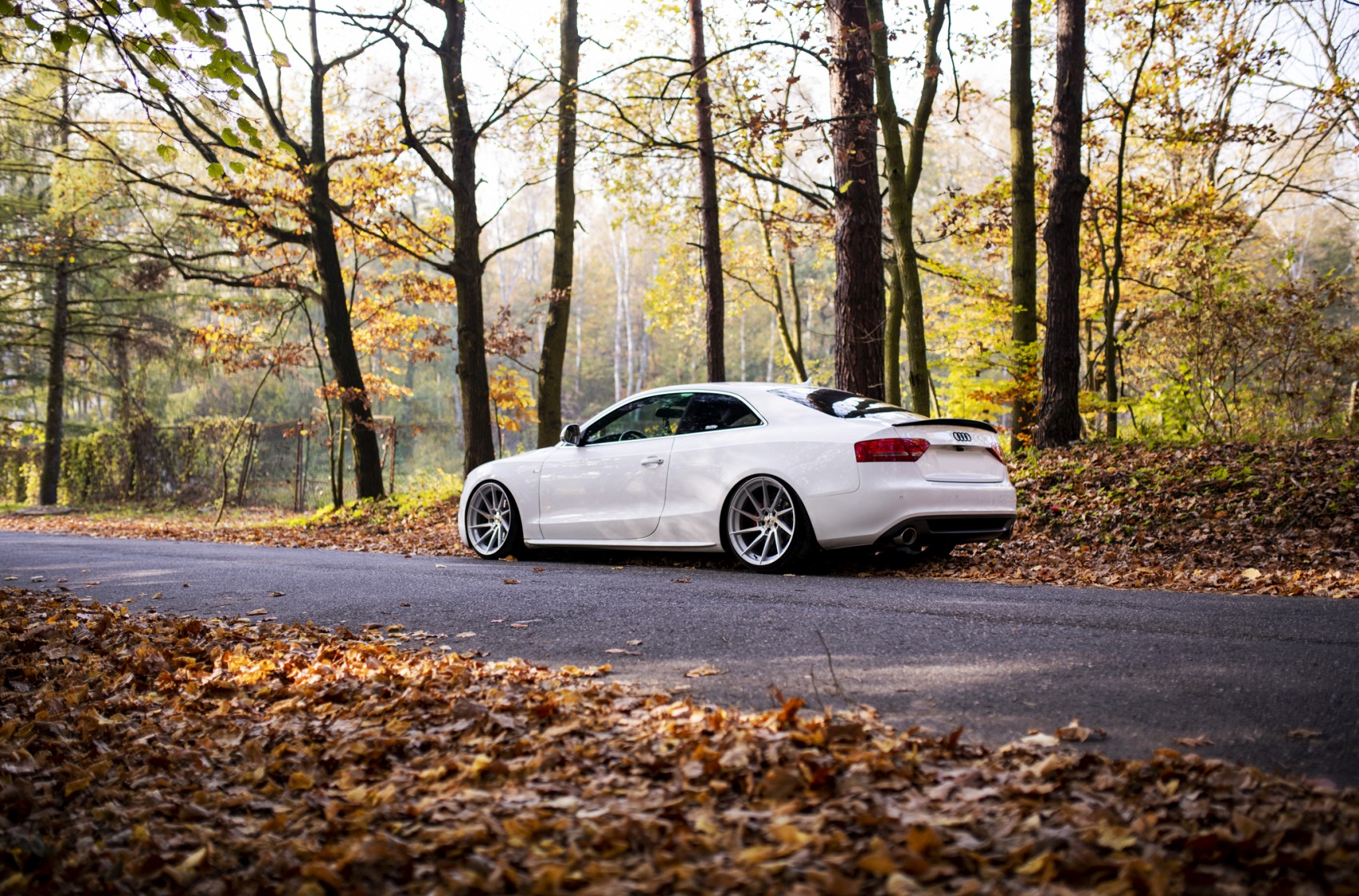 Audi A5 / S5 / RS5
