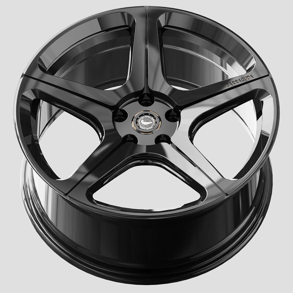 Barracuda Forged FM12 24x14 ET, LK und Farbe frei wählbar 3