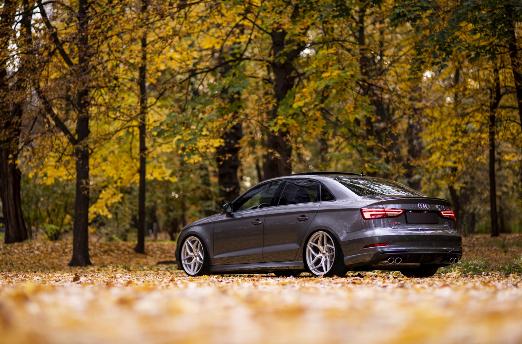 Audi A3 / S3 / RS3