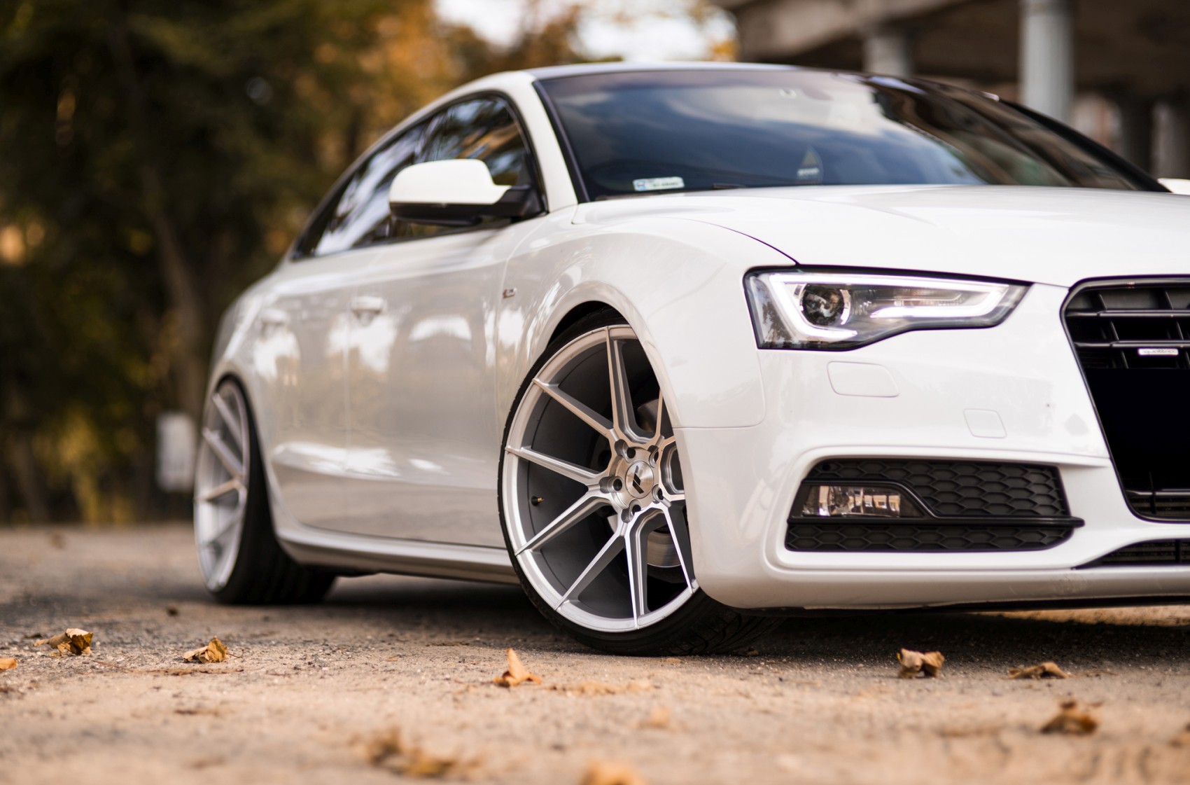 Audi A5 / S5 / RS5