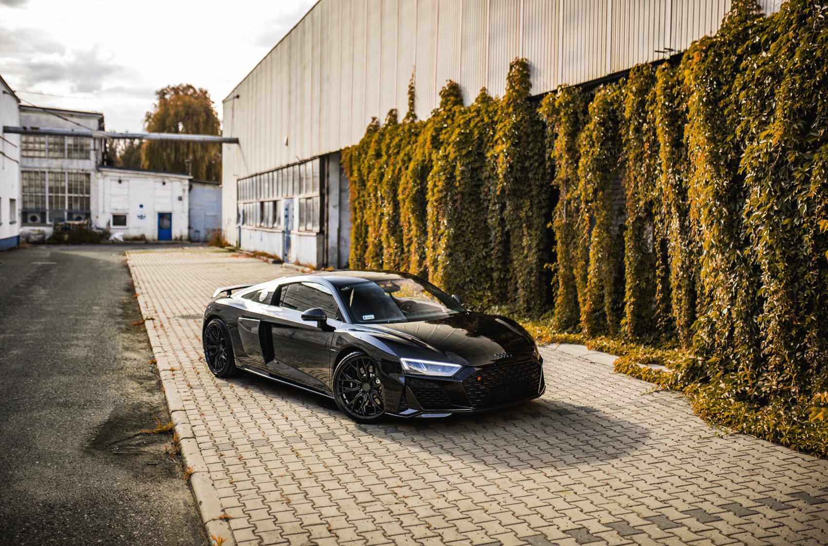 Audi R8