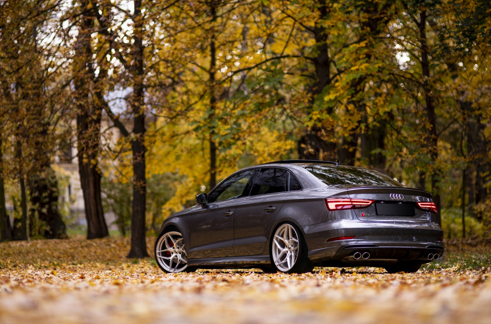 Audi A3 / S3 / RS3
