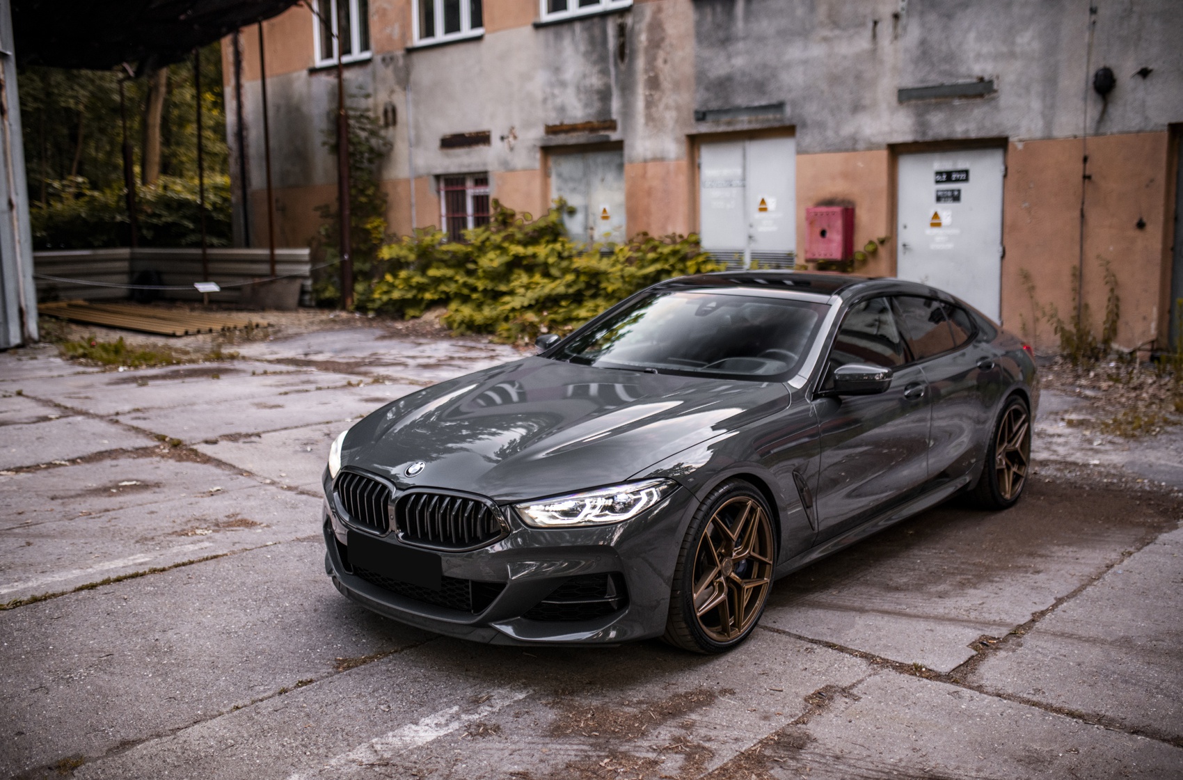 BMW 8 series / M8