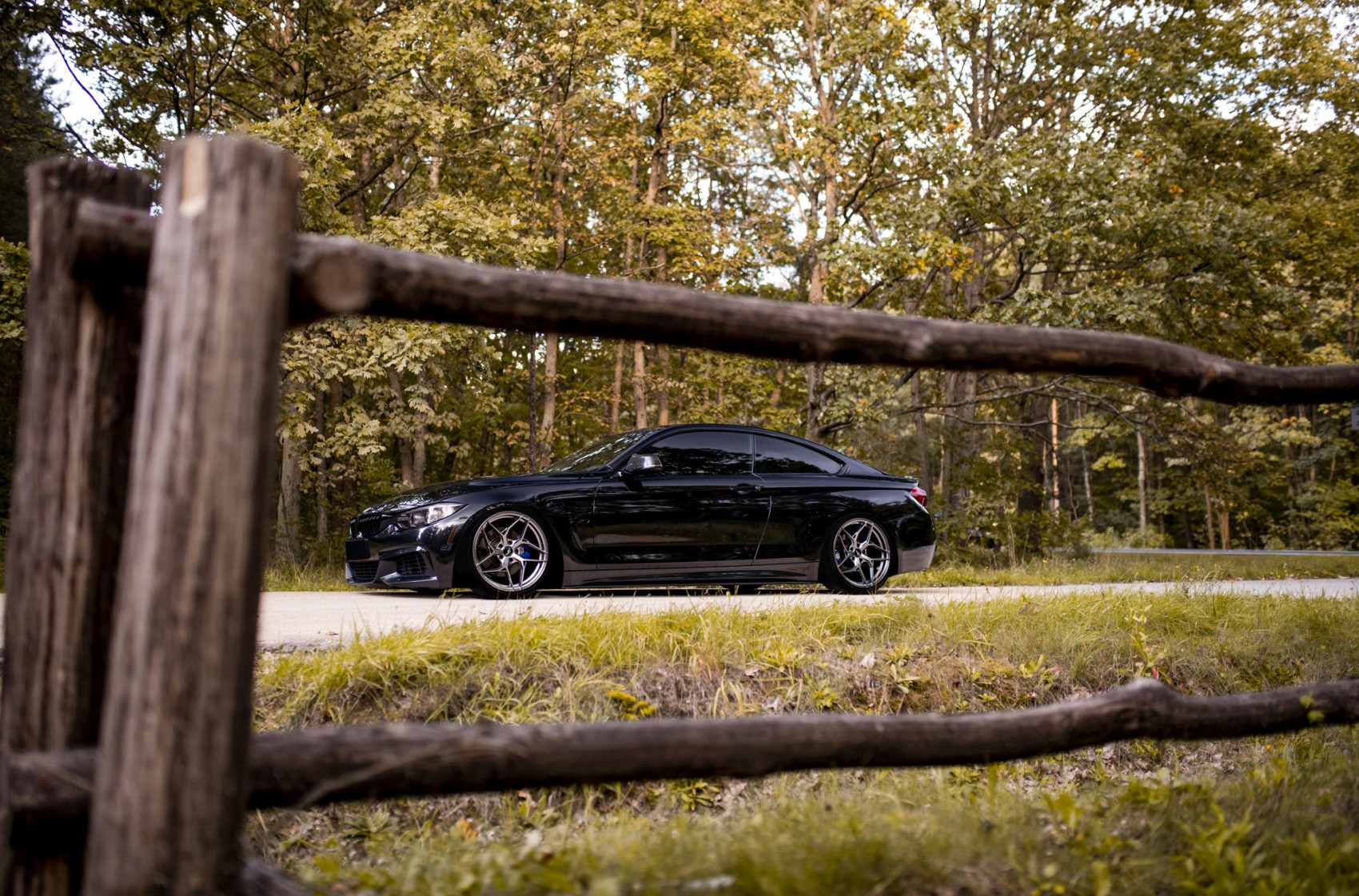 BMW 4 Series / M4