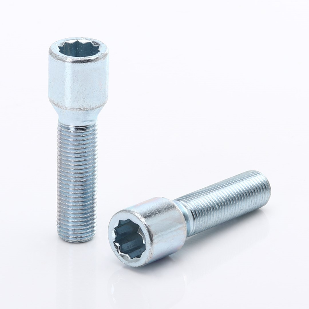 Bulloni ruota argento Set 10pz. 50mm 12x1.25 Esagono cavo + Chiave