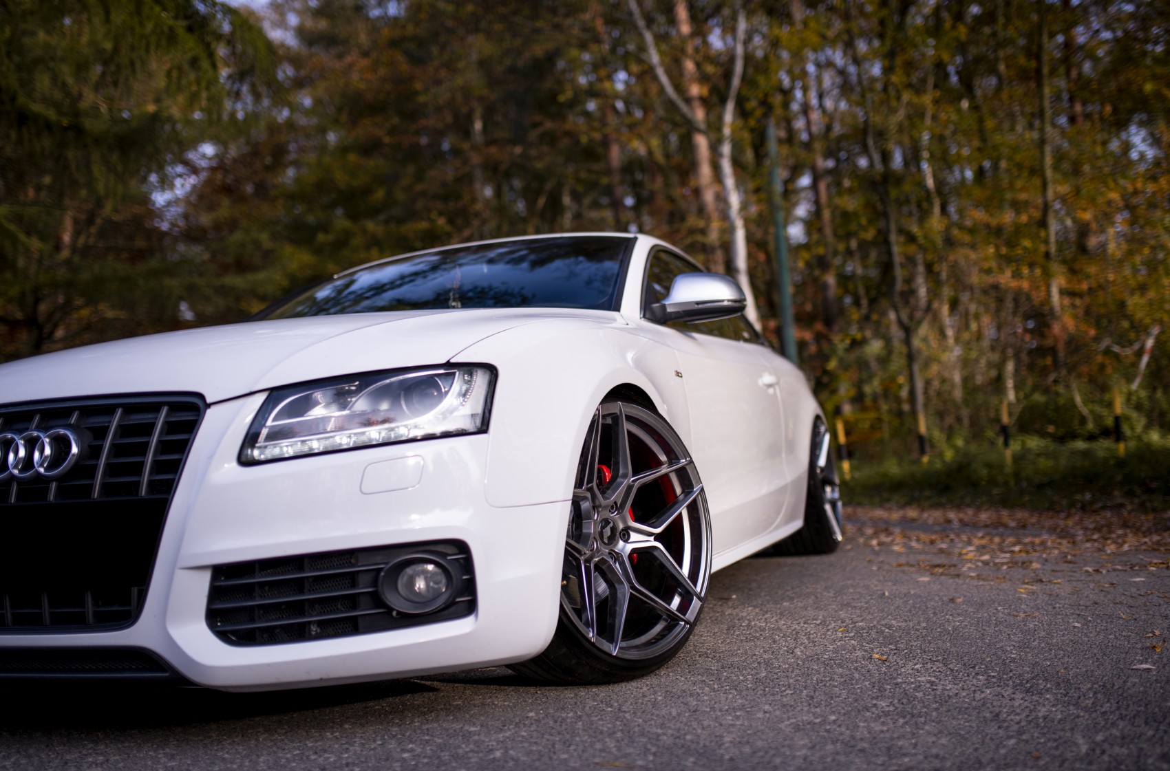 Audi A5 / S5 / RS5