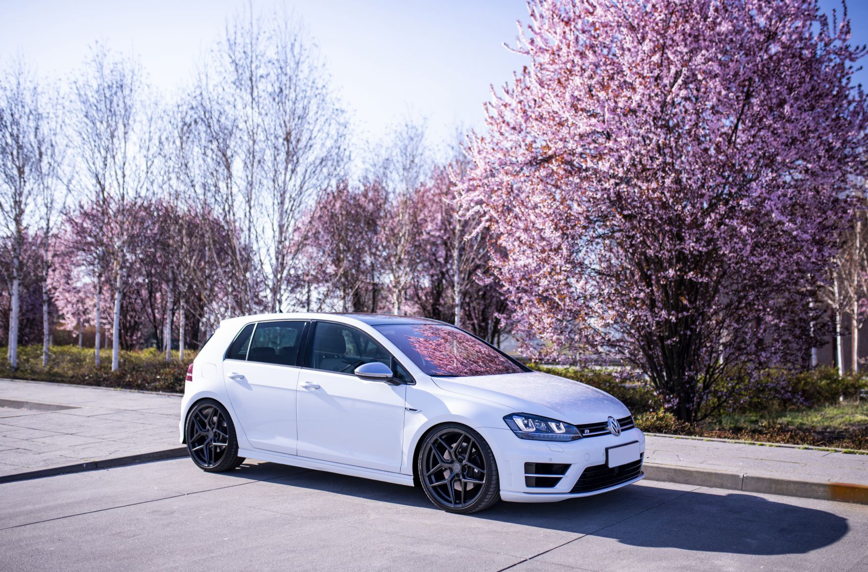 Volkswagen Golf / R / GTI