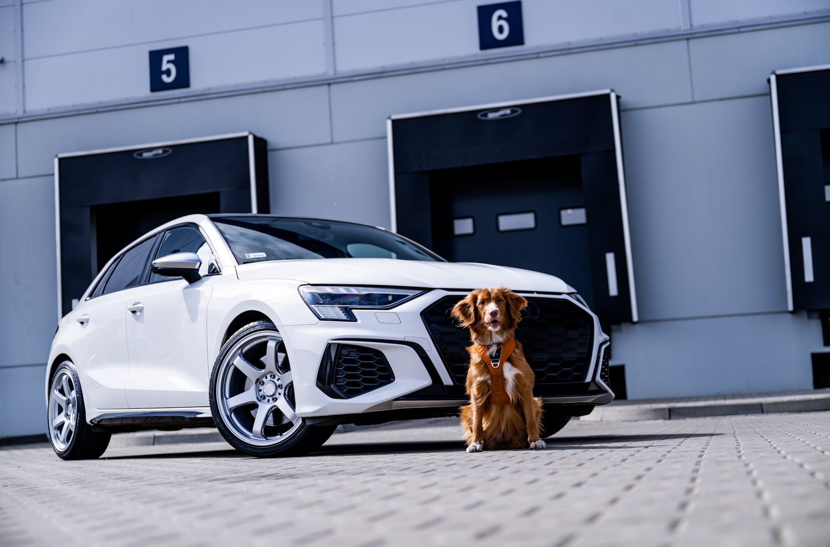 japan-racing-sl03-1897-01