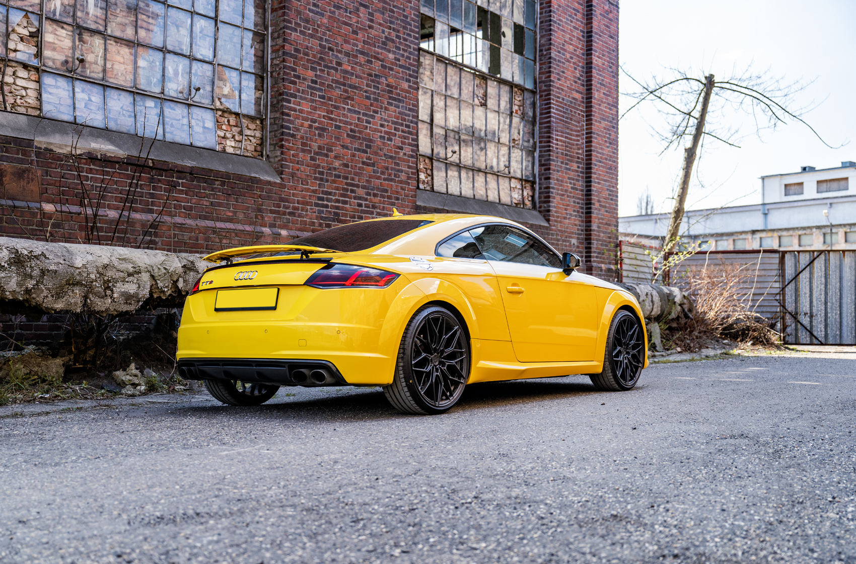 Audi TTs