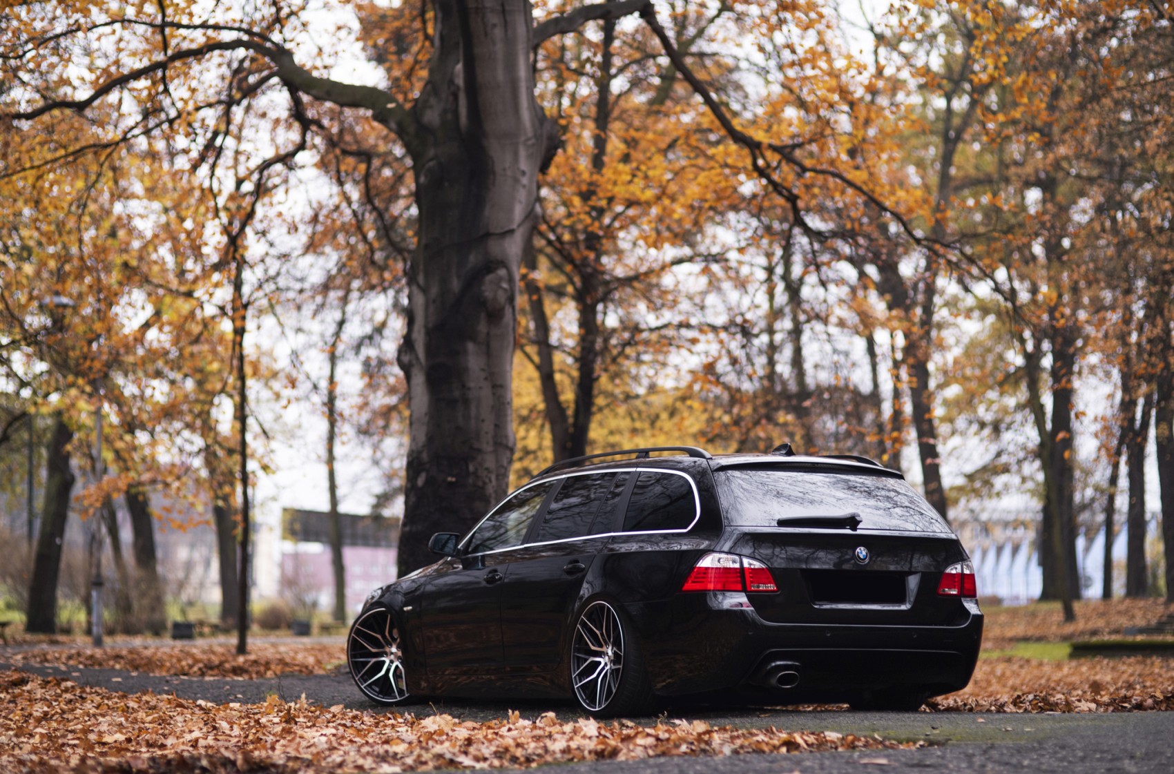 BMW 5 Series / M5