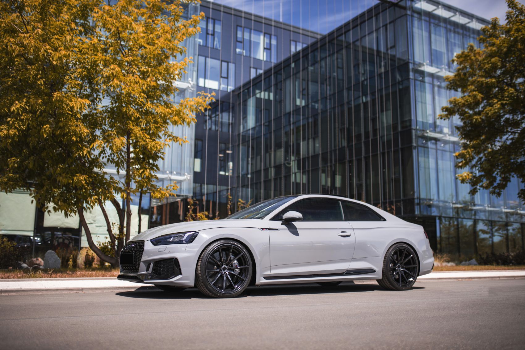 Audi A5 / S5 / RS5