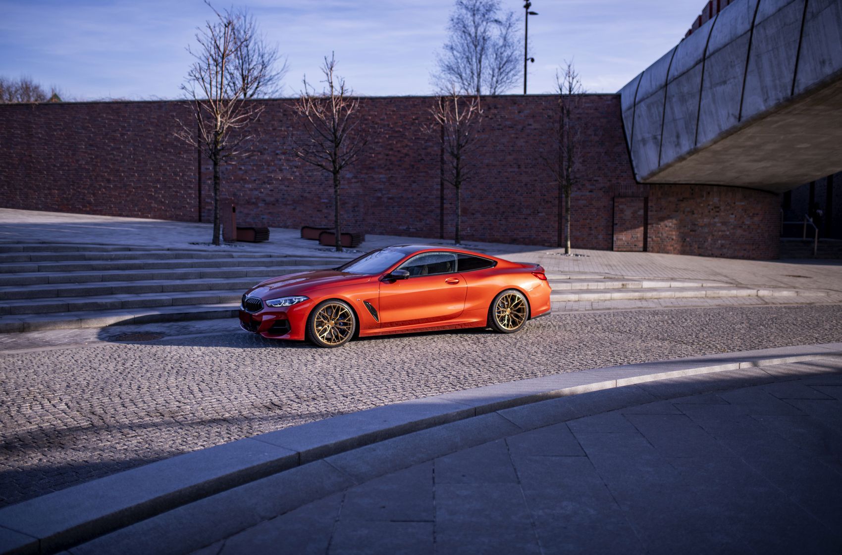 BMW 8 Series / M8