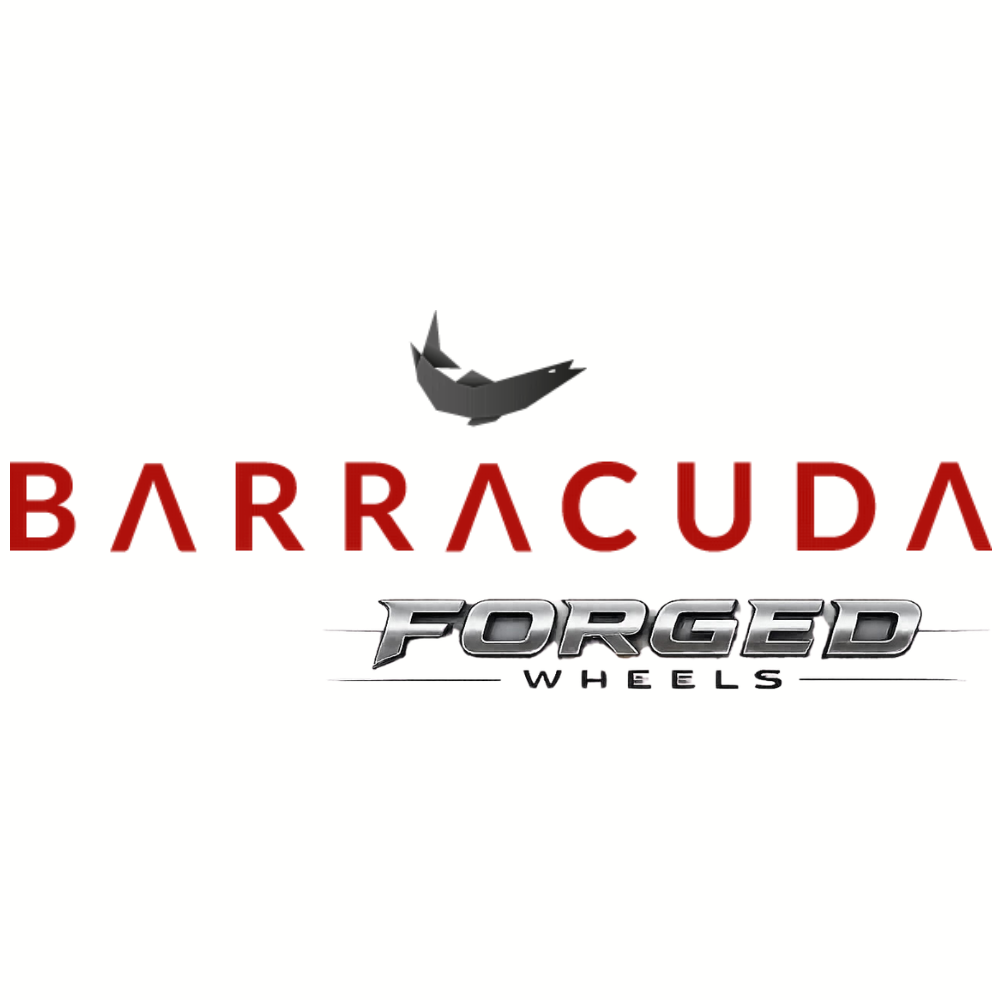 Barracuda Forged