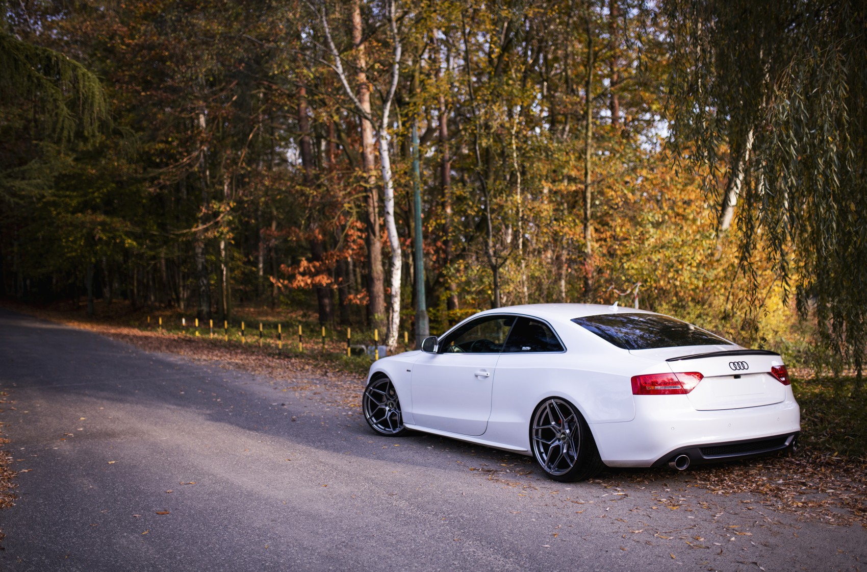 Audi A5 / S5 / RS5