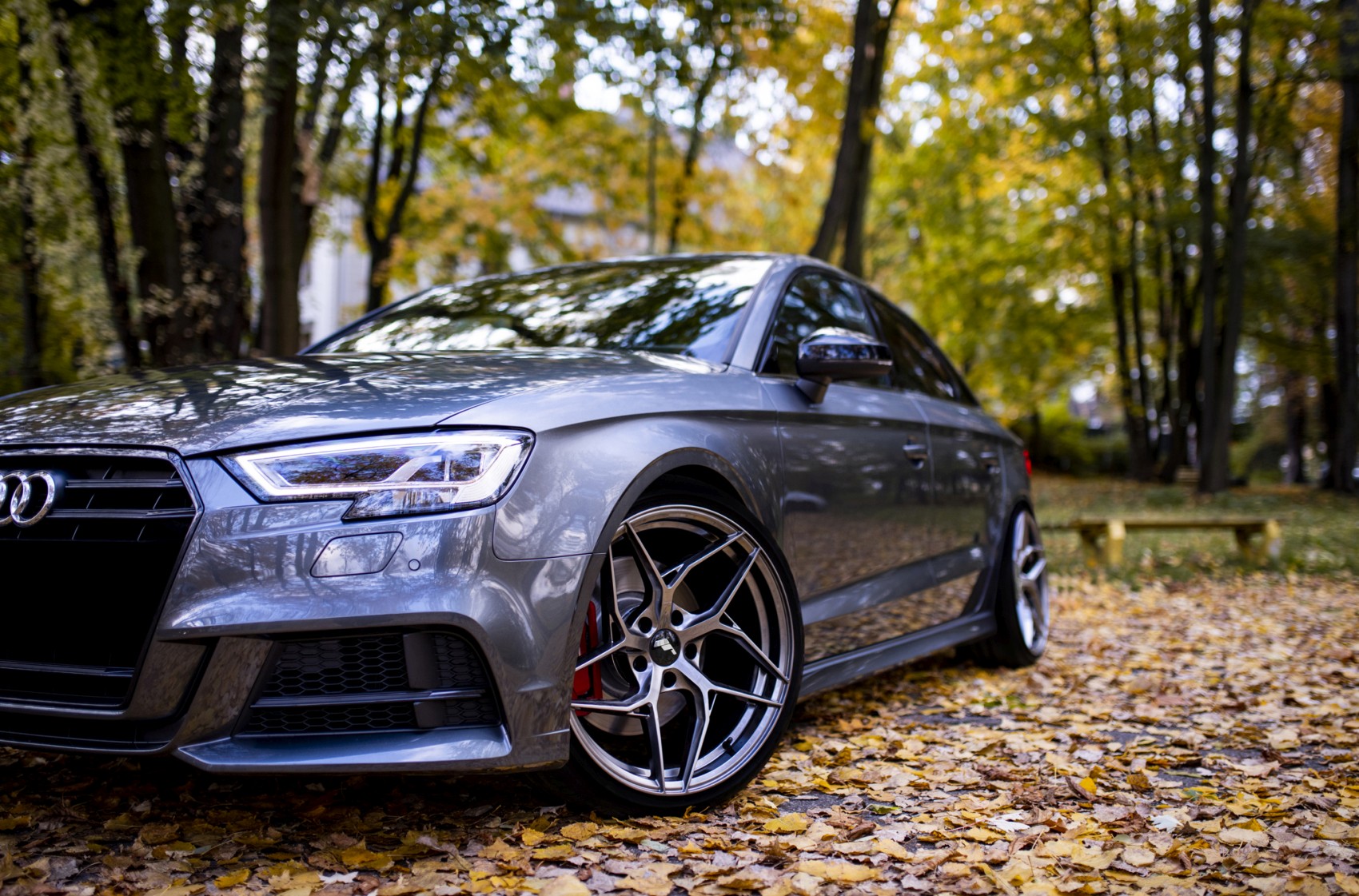 Audi A3 / S3 / RS3