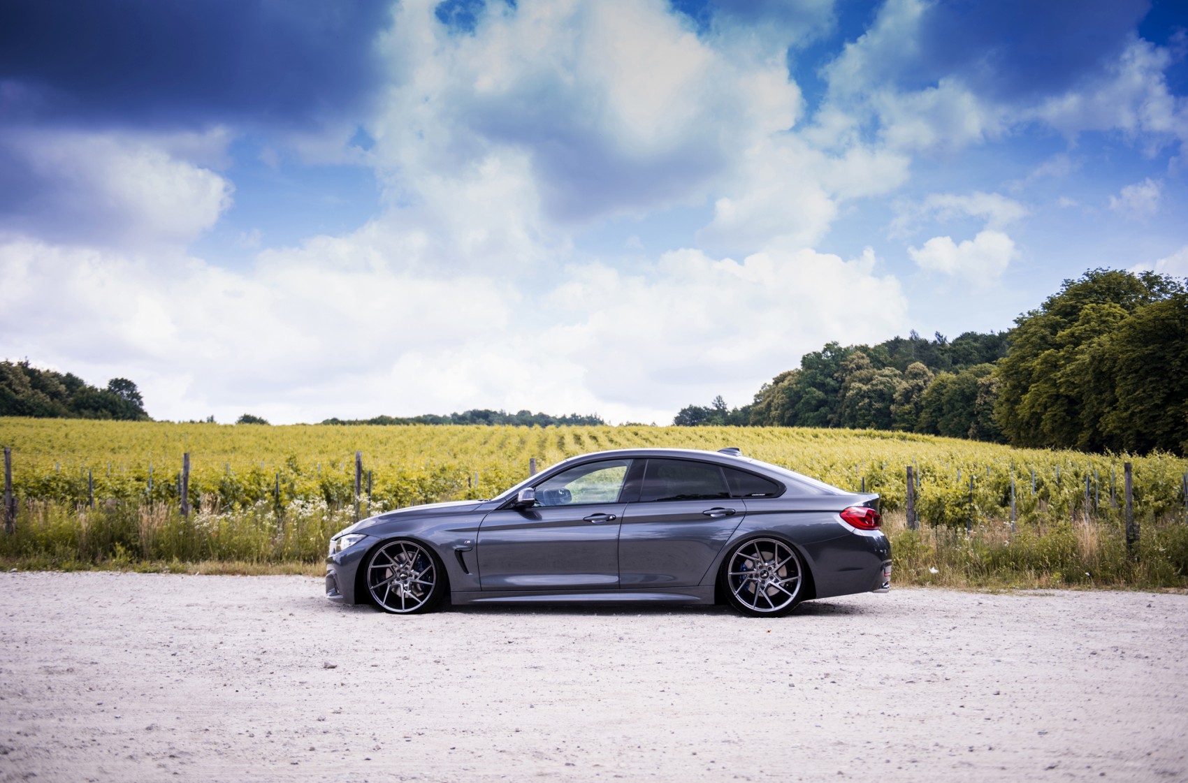 BMW 4 Series / M4