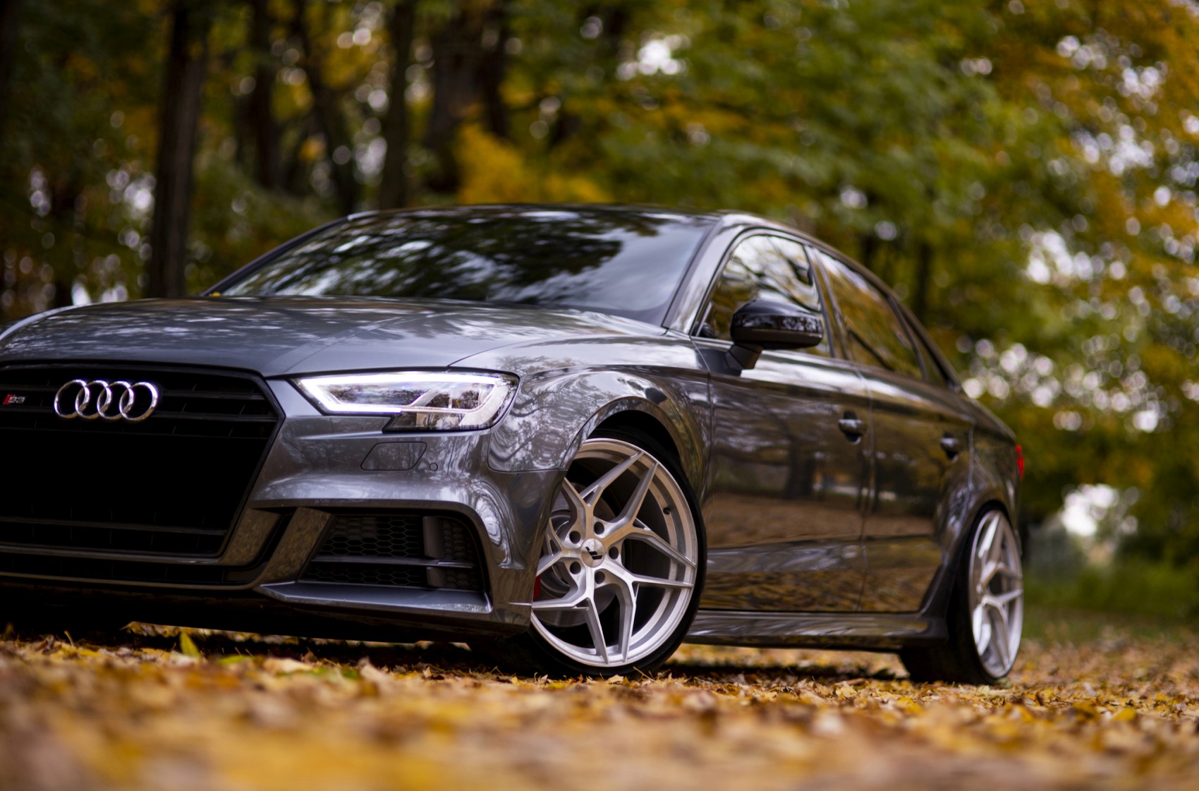 Audi A3 / S3 / RS3