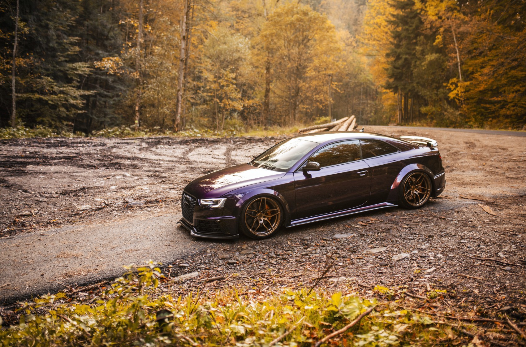 Audi A5 / S5 / RS5