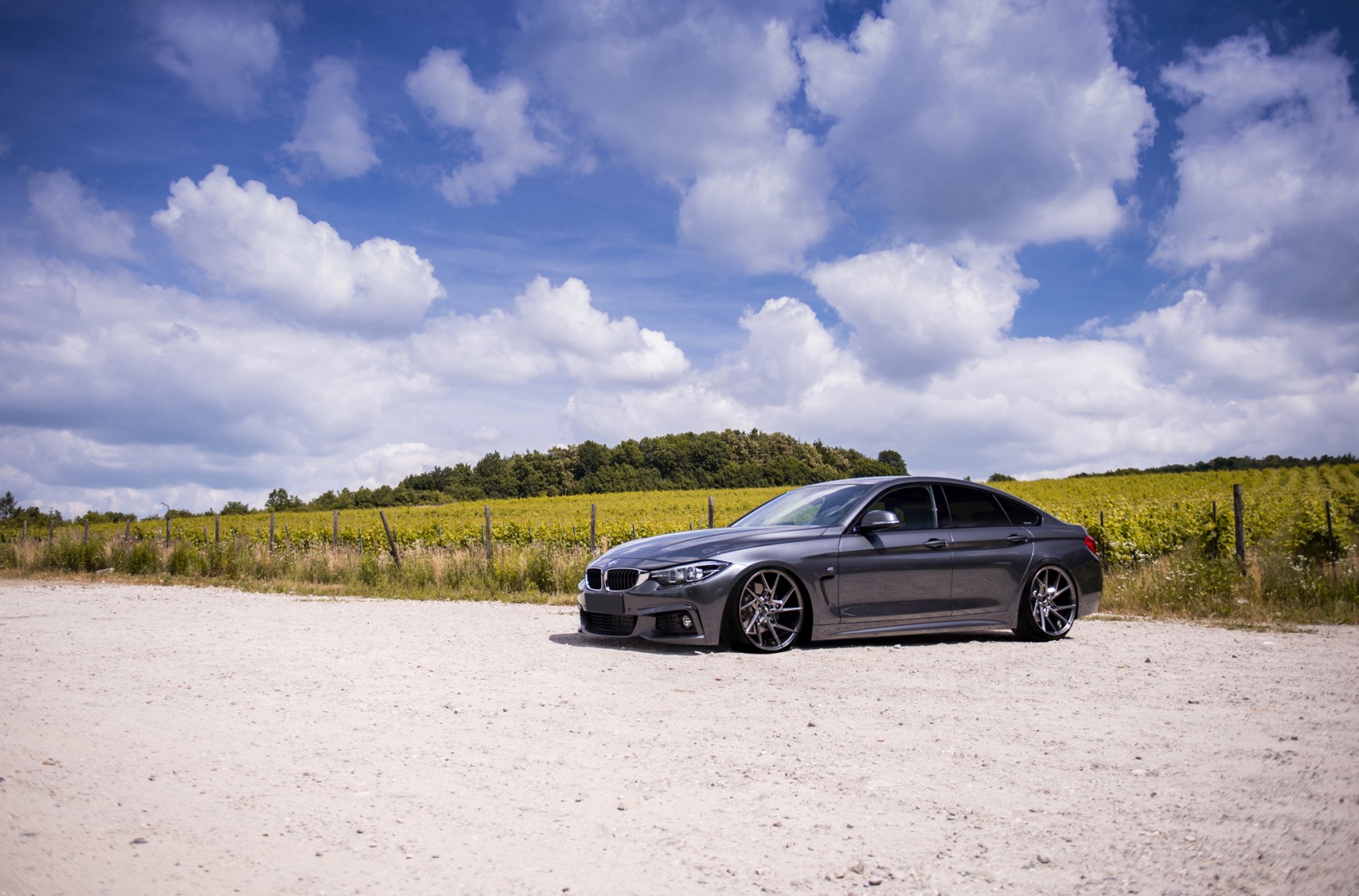 BMW 4 Series / M4