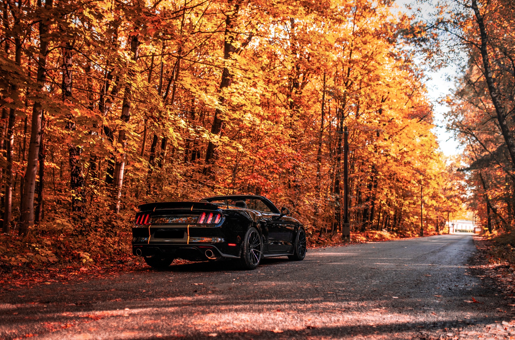 concaver-cvr7-1269-01