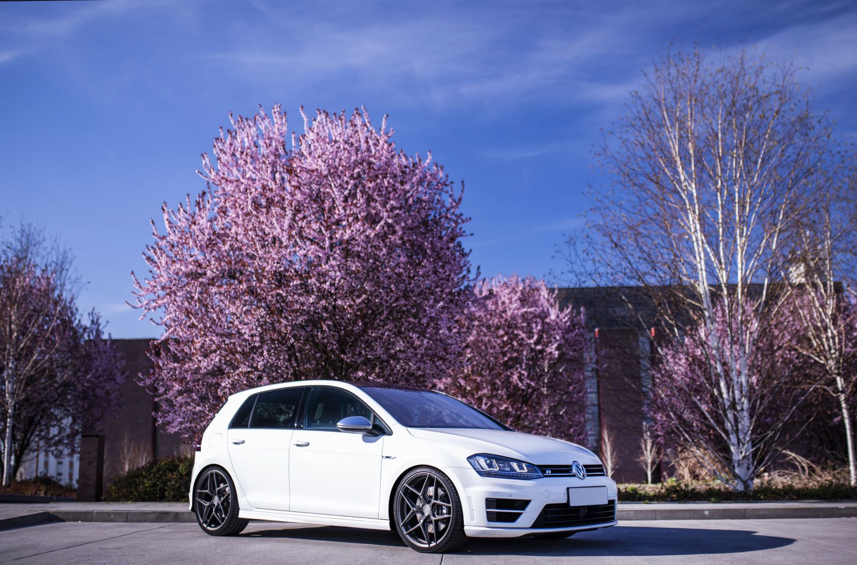 Volkswagen Golf / R / GTI