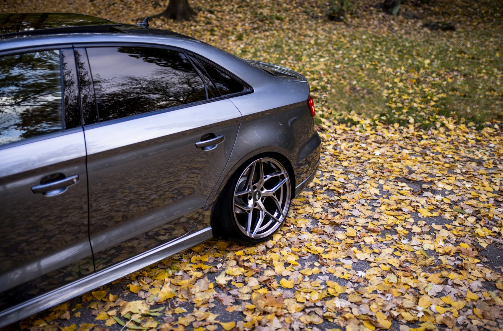 Audi A3 / S3 / RS3