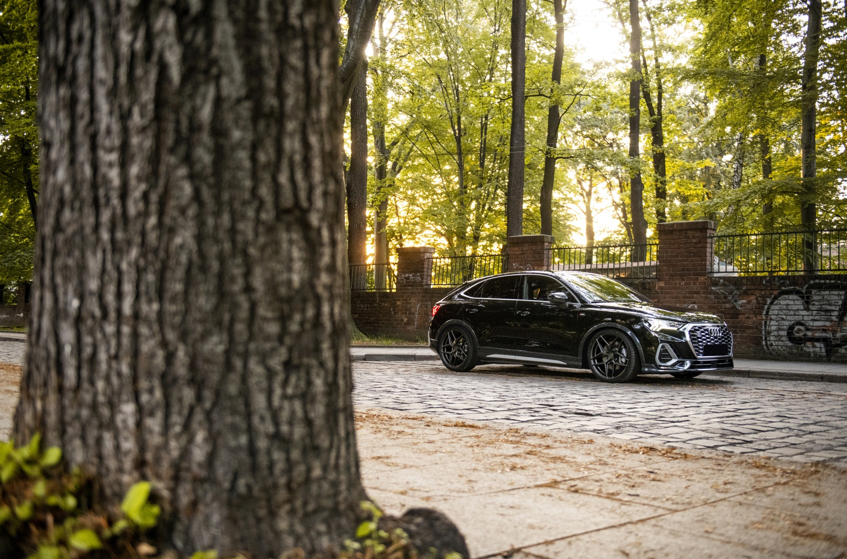 Audi Q3 / SQ3 / RSQ3