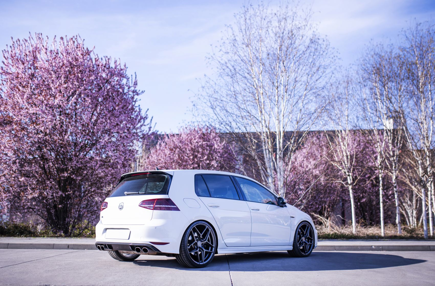 Volkswagen Golf / R / GTI
