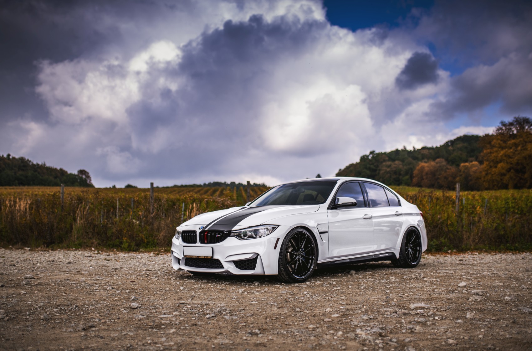 BMW 3 Series / M3