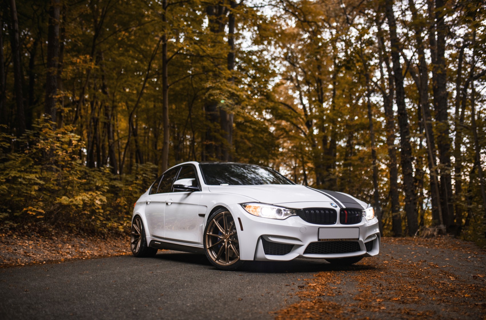 BMW 3 Series / M3