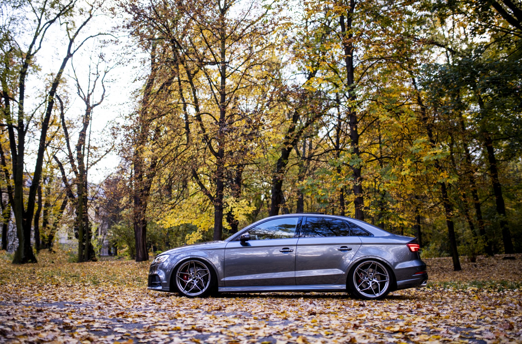 Audi A3 / S3 / RS3