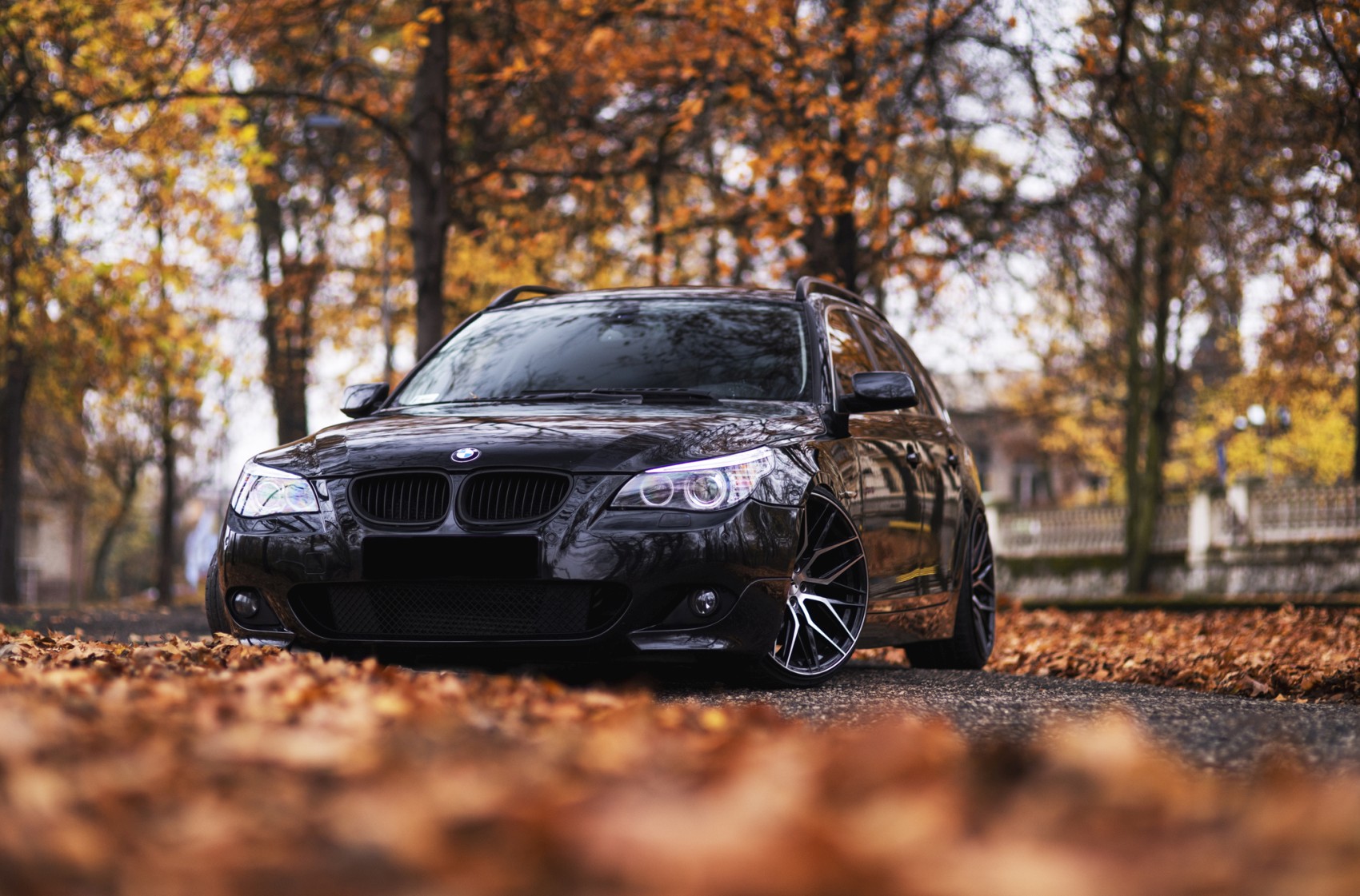 BMW 5 Series / M5