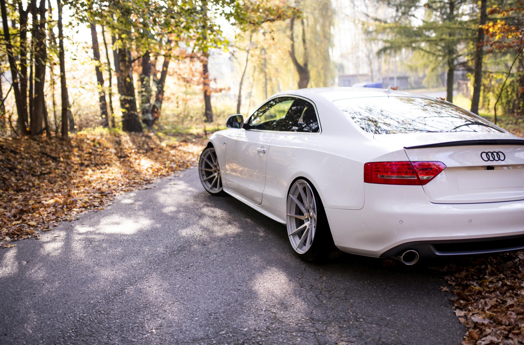 Audi A5 / S5 / RS5