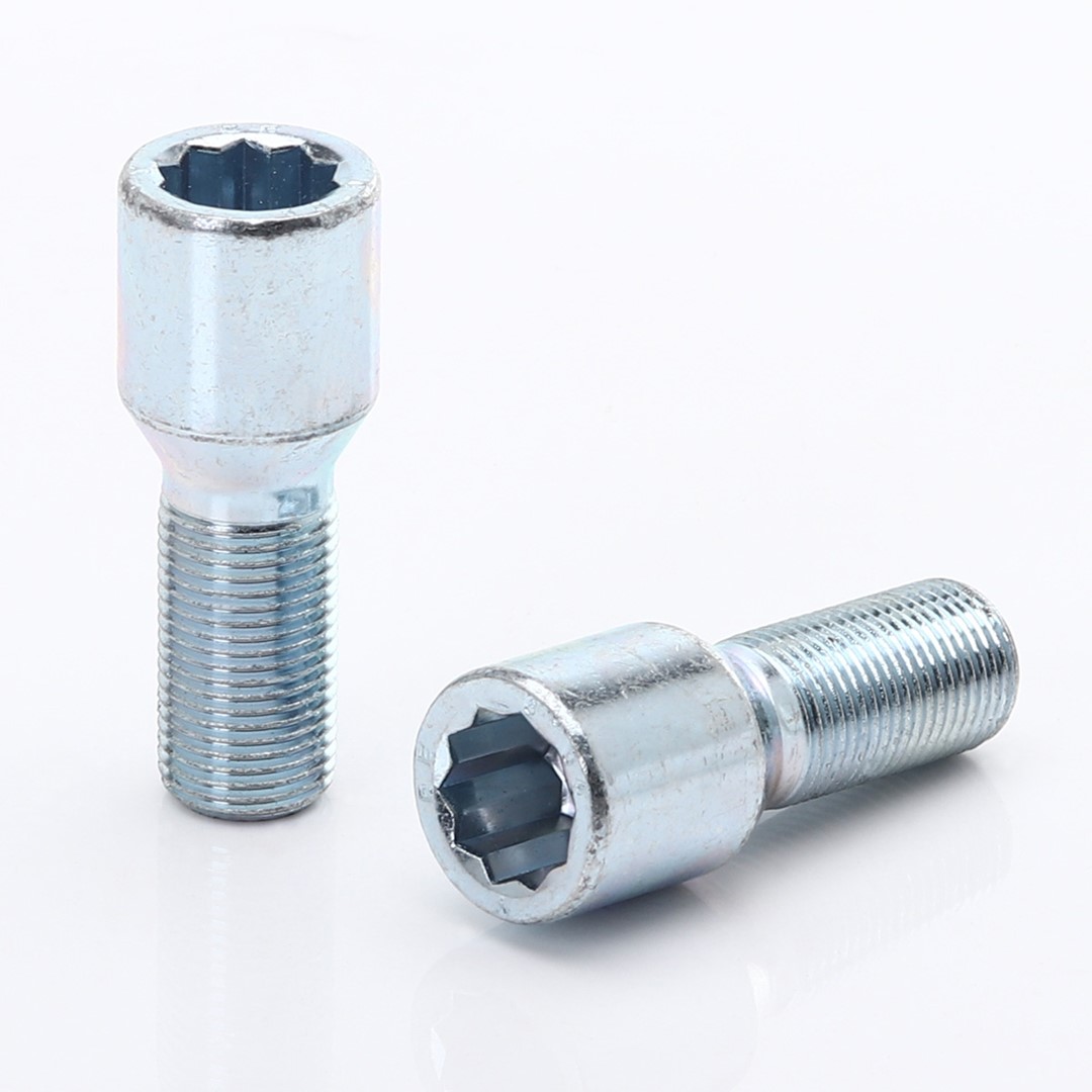 Bulloni ruota argento Set 20pz. 28mm 14x1.5 Multidenti interni + Chiave