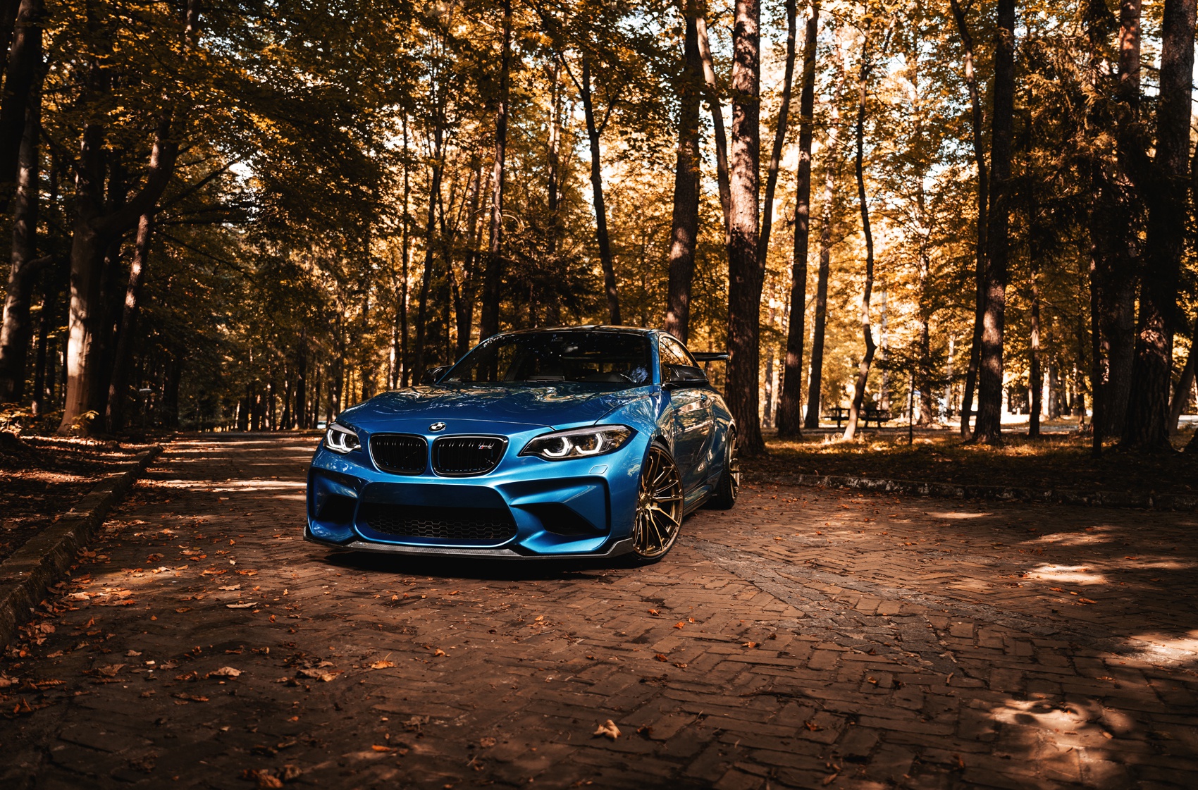 BMW 2 series / M2