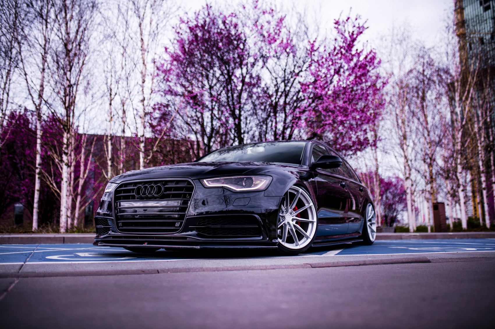 Audi A6 / S6 / RS6