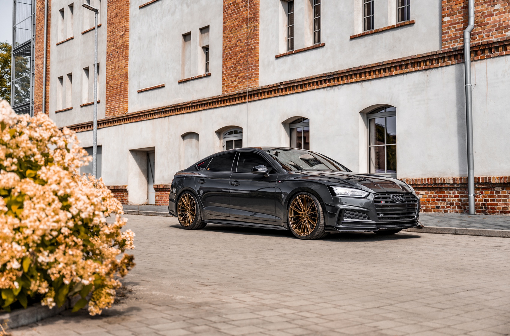 Audi A5 / S5 / RS5