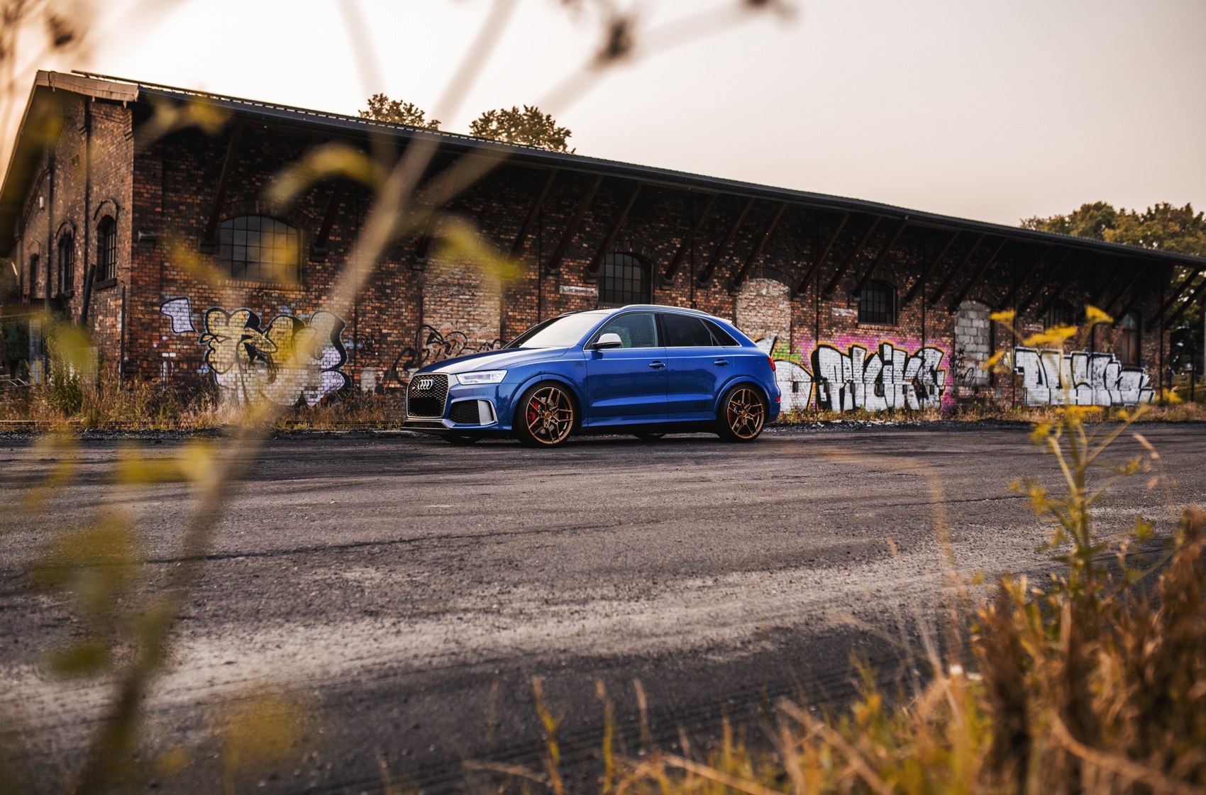 Audi Q3 / SQ3 / RSQ3