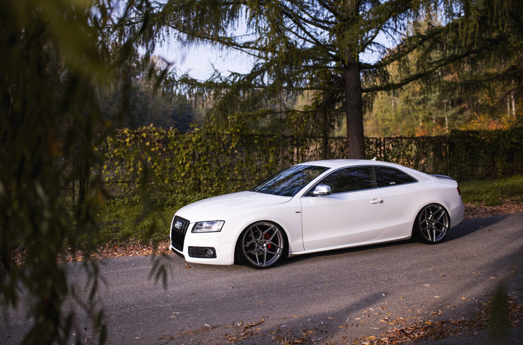 Audi A5 / S5 / RS5