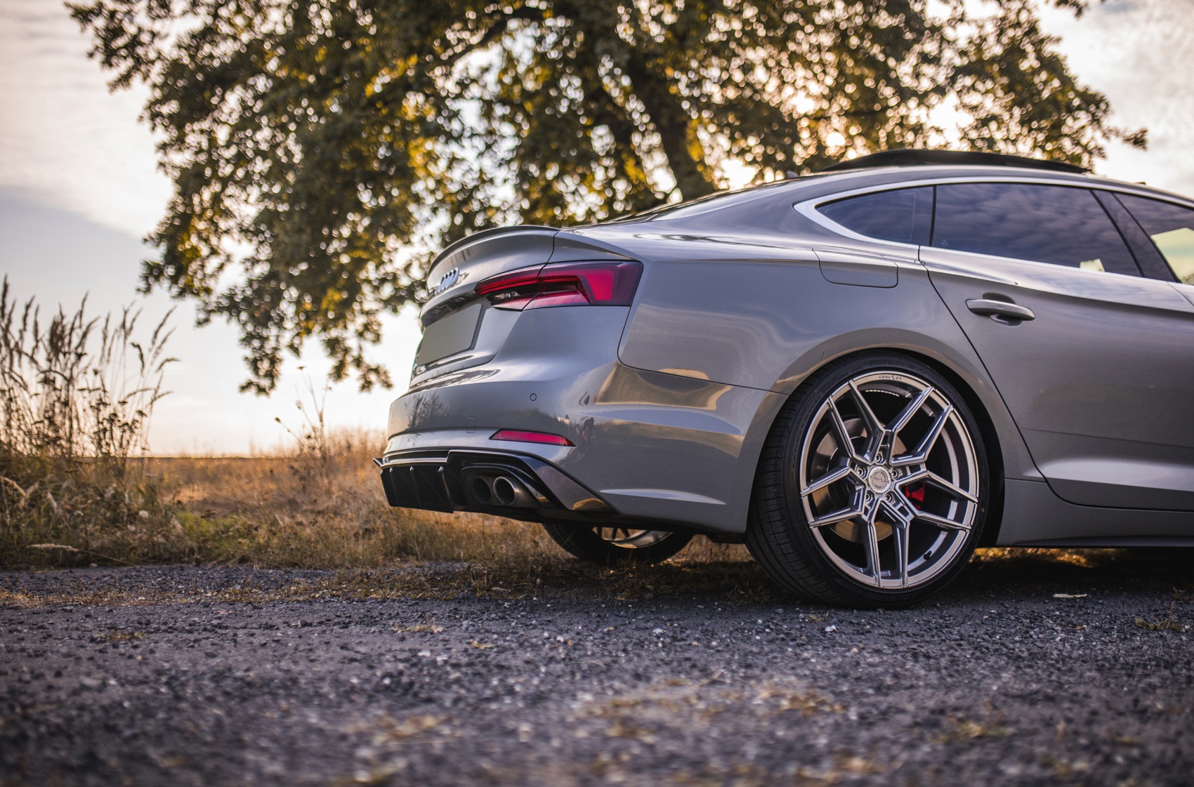 Audi A5 / S5 / RS5