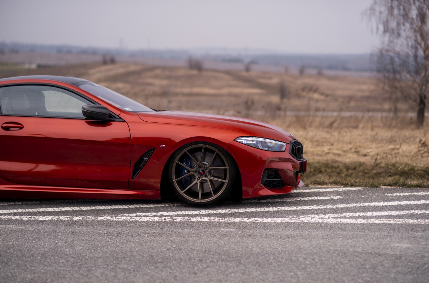 BMW 8 Series / M8