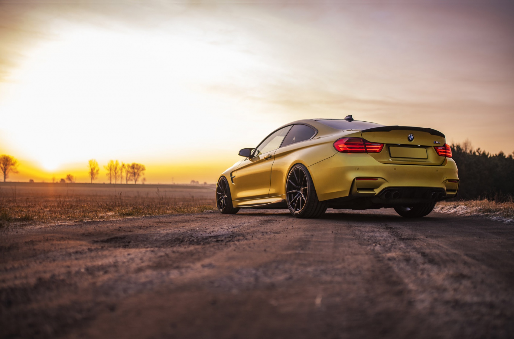 BMW 4 Series / M4
