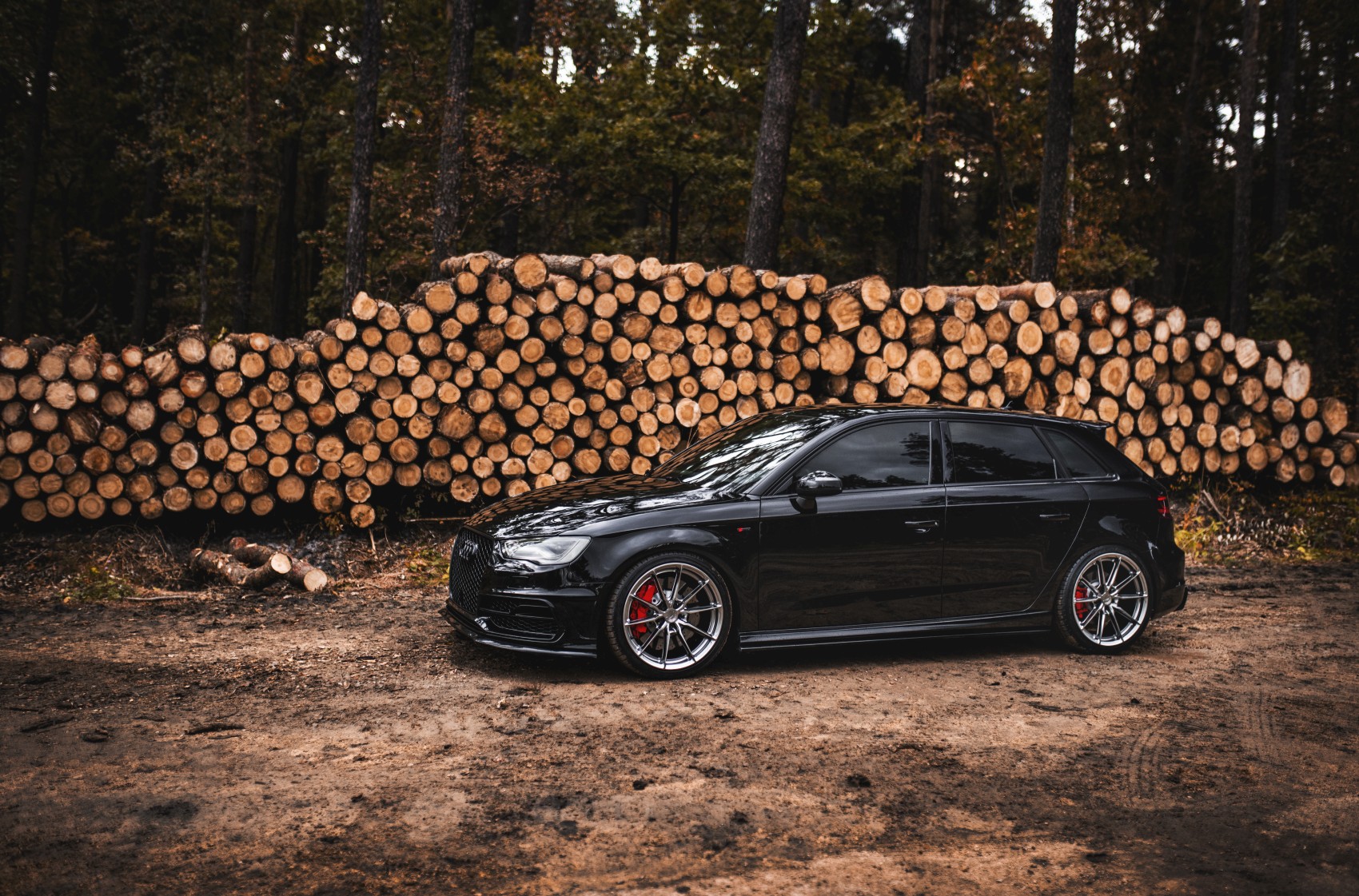 Audi A3 / S3 / RS3