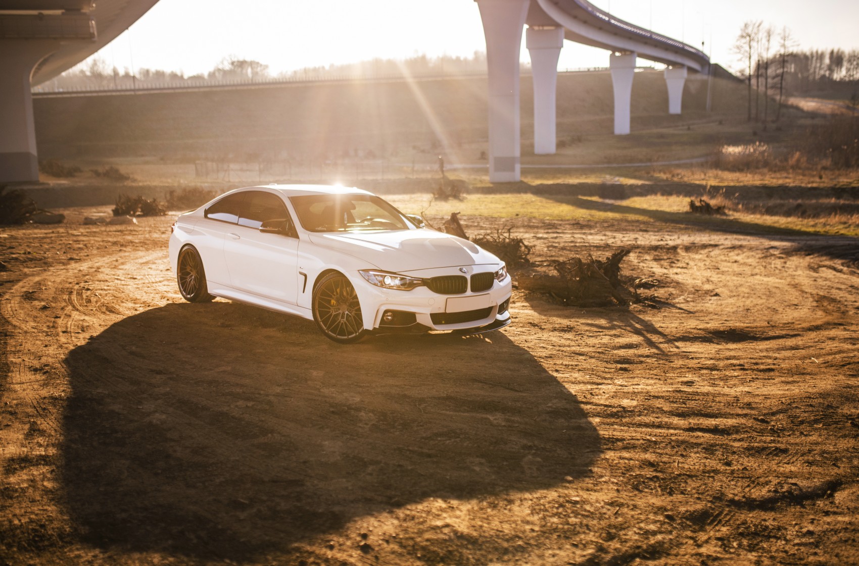 BMW 4 Series / M4
