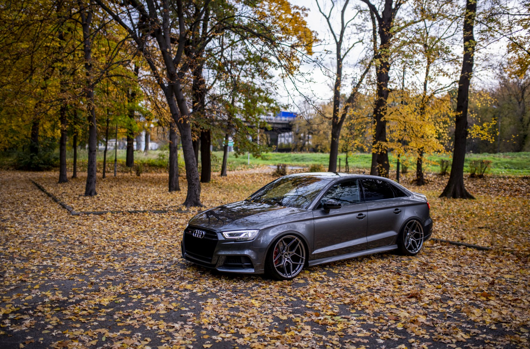 Audi A3 / S3 / RS3