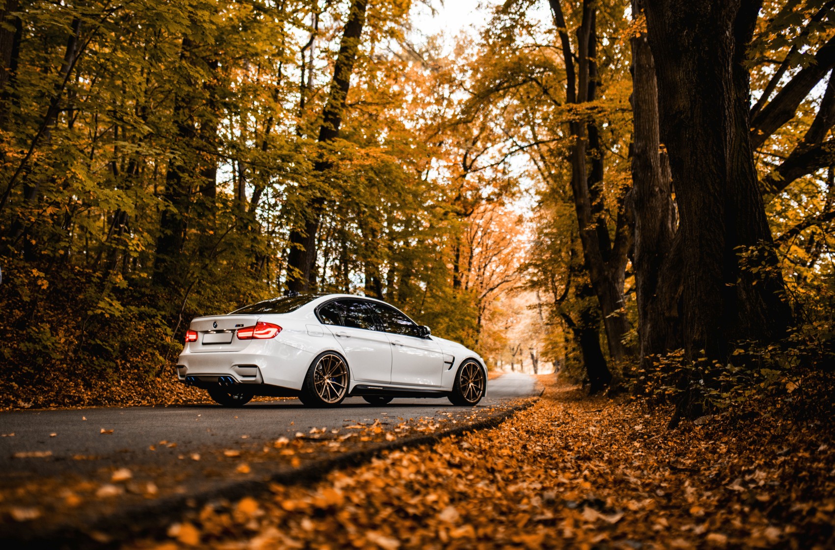 BMW 3 Series / M3