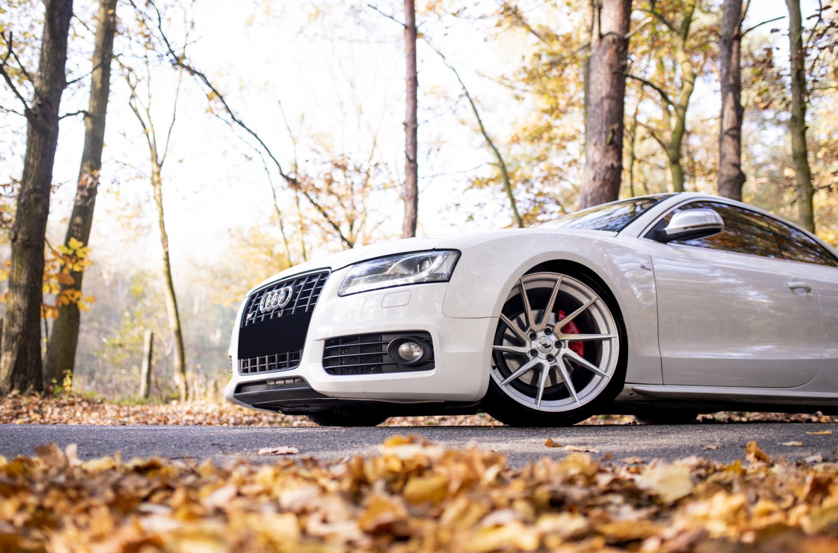 Audi A5 / S5 / RS5