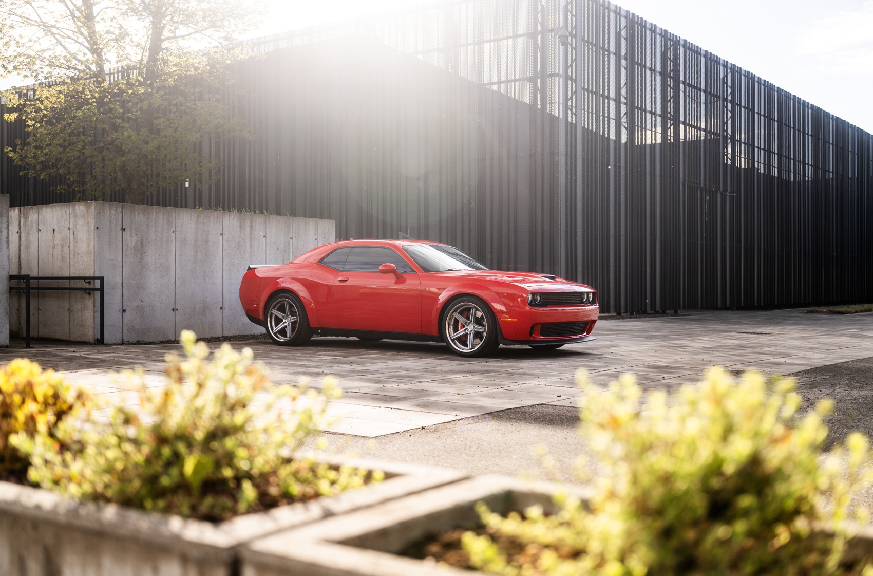 Dodge Challenger