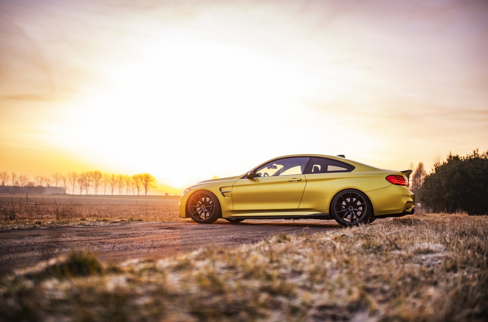 BMW 4 Series / M4