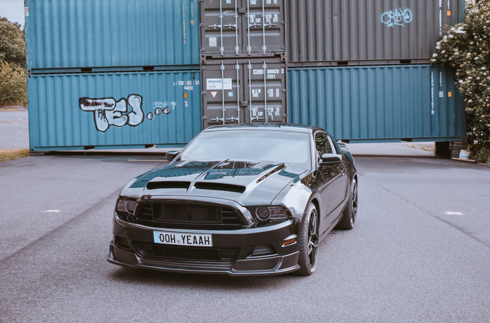 Ford Mustang